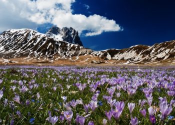 Campo Imperatore Campo Imperatore