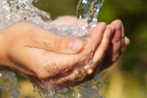 Acqua Acqua